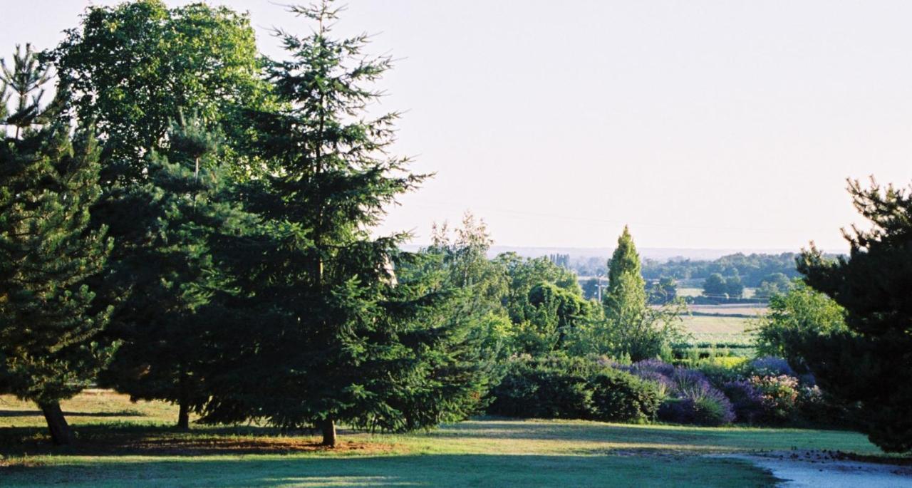 مبيت وإفطار Les Bois-d'Anjou Le Logis Du Pressoir Chambre D'Hotes Bed & Breakfast In Beautiful 18Th Century Estate In The Heart Of The Loire Valley With Heated Pool And Extensive Grounds المظهر الخارجي الصورة